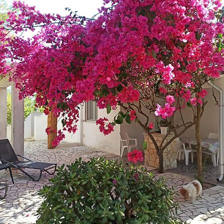 Villa Beatrice Serranova Extérieur photo