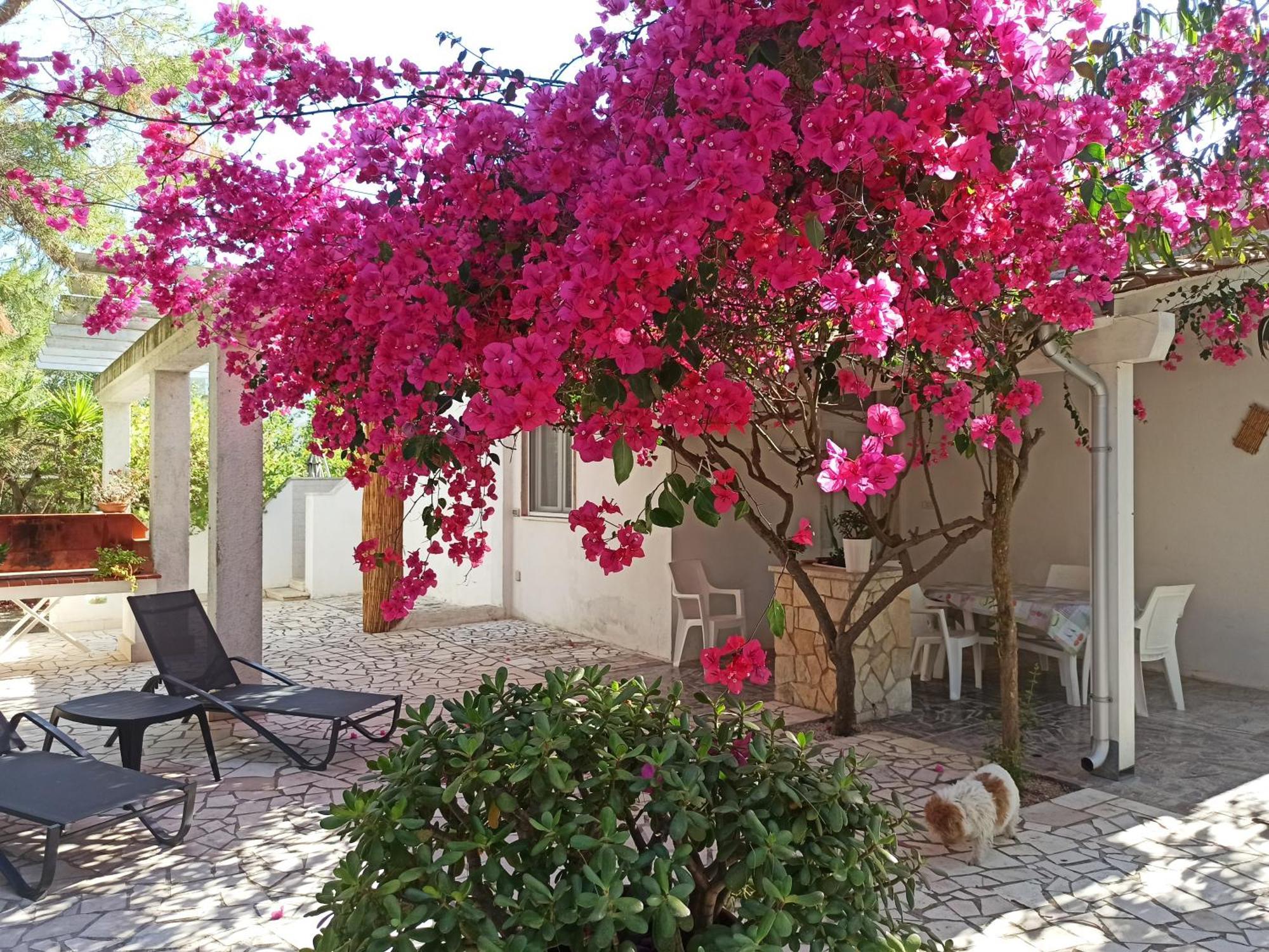 Villa Beatrice Serranova Extérieur photo
